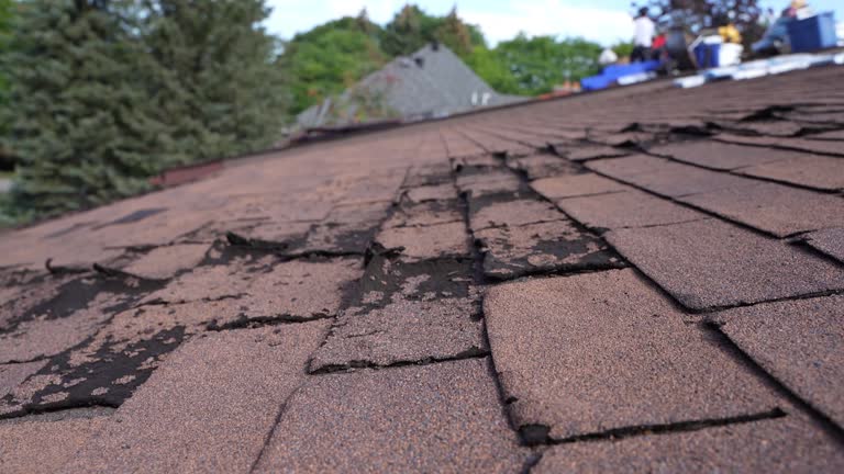 Best Green or Eco-Friendly Roofing Solutions  in Corning, AR
