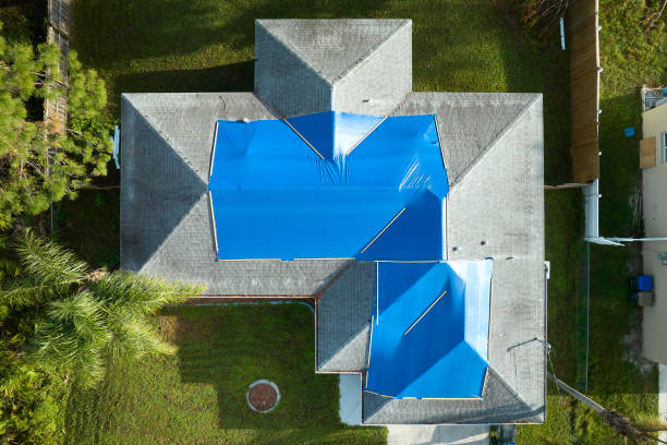 Best Asphalt Shingles Roofing  in Corning, AR