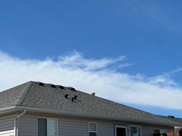 Best Wood Shake Roofing  in Corning, AR